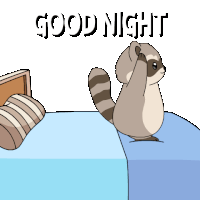 a cartoon of a raccoon standing on a bed with the words " good night " above it