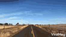 Stampede Cross The Street GIF - Stampede Cross The Street Cross The Road GIFs