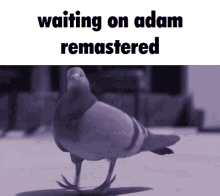 Waiting On GIF - Waiting On Adam GIFs