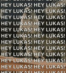 Hey Heylukas GIF - Hey Heylukas Lukas GIFs