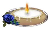a white candle with a blue rose and blueberries on a plate