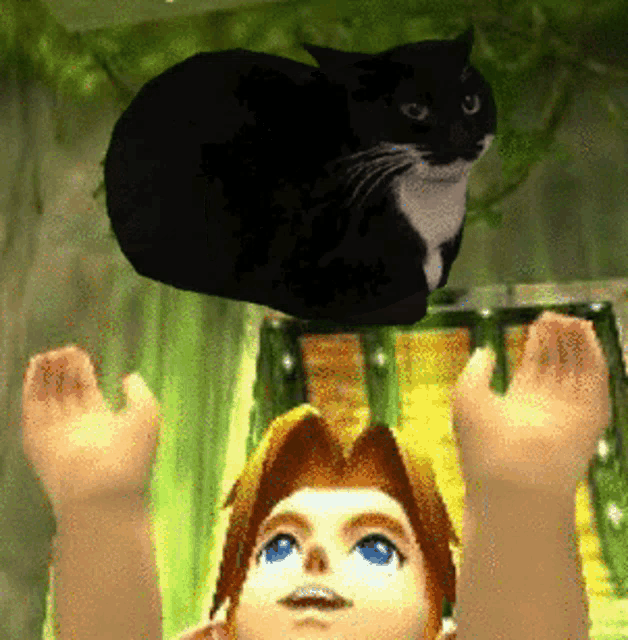 Cool link pfp  Zelda funny, Zelda memes, Legend of zelda