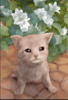 Cat Ugly GIF - Cat Ugly Silly GIFs