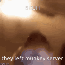 Bruh They Left Munkey Server GIF - Bruh They Left Munkey Server Hamster GIFs