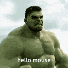 hulk says hello mouse in front of a cloudy sky .
