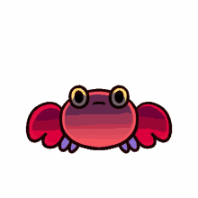 intense stare crabby crab pikaole im watching you fierce stare