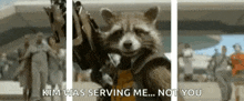 rocket raccoon from guardians of the galaxy is holding a gun and saying `` kim was serving me , not you '' .