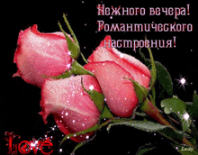 пожелание цветы GIF - пожелание цветы розы GIFs