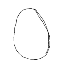 egg_stare
