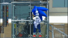 Sonic Motogp GIF - Sonic Motogp Flag GIFs