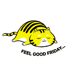 feel good friday happy friday have a good time weekend cat