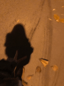 a shadow of a person is cast on a wall