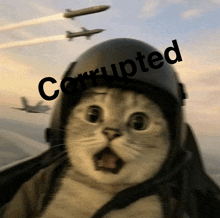 a cat wearing a helmet with the word corrupted written on it