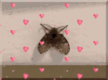 Bug Bugs GIF - Bug Bugs Hearts GIFs