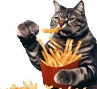 Cat French Fries Sticker - Cat French Fries Cats Stickers