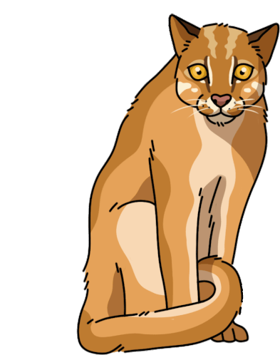 Wild Cat Asiatic Golden Cat Sticker - Wild Cat Asiatic Golden Cat Temmincks Cat Stickers
