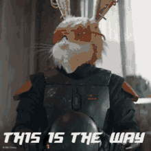 Fluf This Is The Way GIF - Fluf This Is The Way GIFs