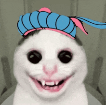 a white cat with a blue and pink hat on its head