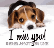 I Miss You Heres Another One GIF
