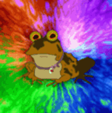 Frog Trippy GIF - Frog Trippy Acid GIFs