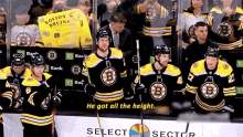 Boston Bruins Hampus Lindholm GIF