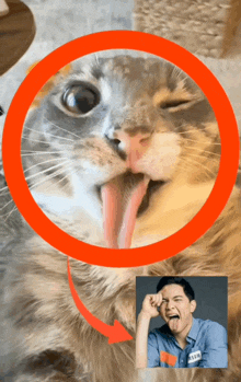 a close up of a cat with its tongue hanging out and a picture of a man with a name tag that says sean