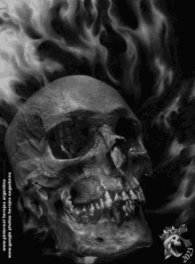 Herejes Skull Gif GIF - Herejes Skull Gif Herejes Argentina GIFs
