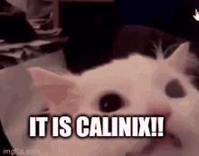 Calinix Linux GIF - Calinix Linux Arch Linux GIFs