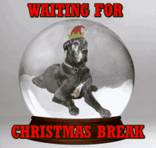 Christmas Break Waiting For Christmas Break GIF