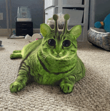 Aliencat Greencat GIF - Aliencat Alien Cat GIFs