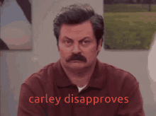 Carley Carley Disapproves GIF - Carley Carley Disapproves Ron Swanson GIFs
