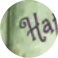a close up of a green circle with purple writing