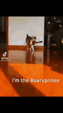 Cat Roar Cat GIF