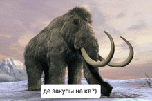 a picture of a mammoth in the snow with a caption in a foreign language