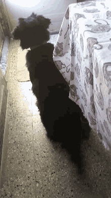 a black dog laying on a tiled floor under a curtain with a pattern of teapots and cups