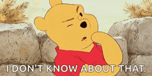 a cartoon of winnie the pooh says " i don t know about that "