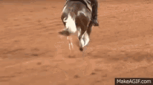 Reining Stop GIF - Reining Stop Cowgirl GIFs
