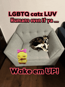 a cat is laying on a chair with the words wake em up on the bottom