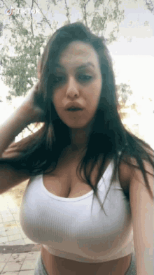 Orchook Busty GIF