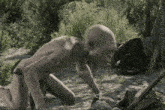 a man is crawling in the dirt with the url http://the-burrower.tumblr.com visible