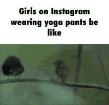 Instagram Yogapants GIF - Instagram Yogapants Girls On Instagram GIFs