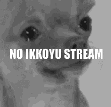 Ikkoyu No Stream GIF - Ikkoyu No Stream No Ikkoyu Stream GIFs