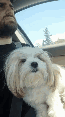 a man with a beard is holding a small white dog in a car