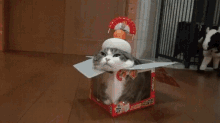 Cat Camouflage GIF