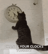 Cat Changing The Clock Changing The Time GIF - Cat Changing The Clock Changing The Time Kitty GIFs