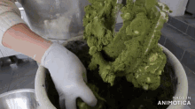 a person is mixing a green substance in a bowl with the words made in animotica on the bottom