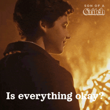 Is Everything Okay Mark GIF - Is Everything Okay Mark Son Of A Critch GIFs