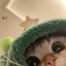 a cat is wearing a green hat with a star on top .