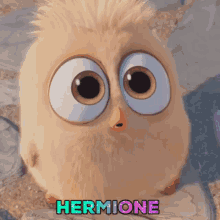 Hermione GIF