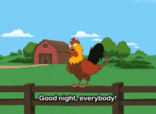 Family Guy GIF - Family Guy Rooster GIFs